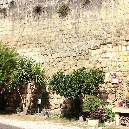 La Torre Appartement Tarquinia Buitenkant foto